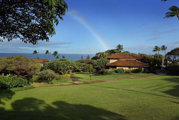 View from the lanai
