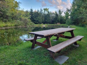 Picnic at the pond and do some catch-and-release fishing. Poles are in the barn!