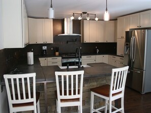 Gourmet kitchen - custom cabinets, concrete counters & stainless appliances- Brand new french door fridge with ice maker in door!