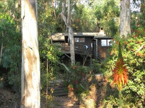 Look at Cottage from our canyon open space