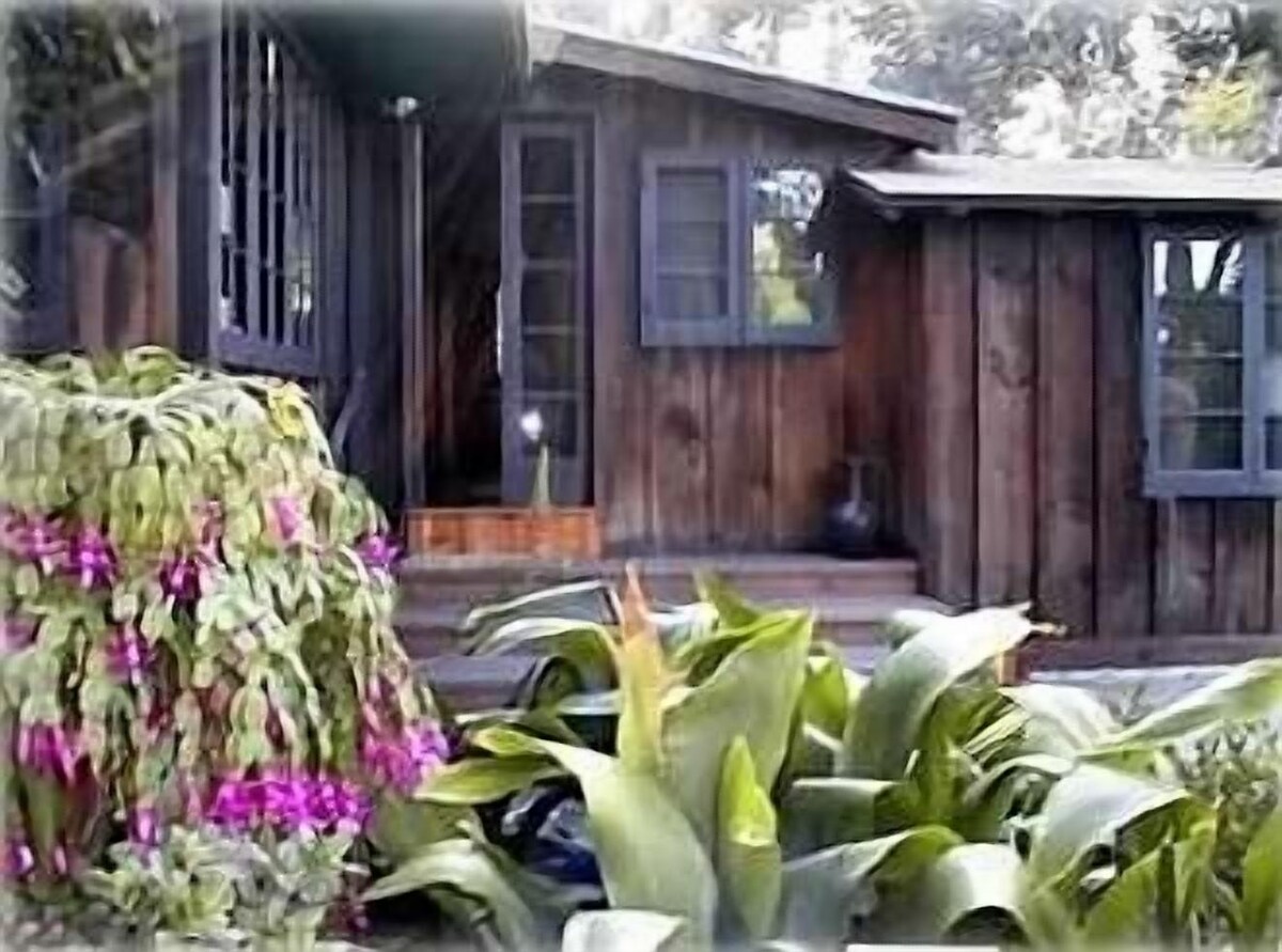 Quaint, Cozy, Historic 3BR/2BA Cottage – Six Blocks from Beach