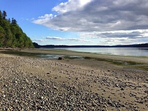 Low tide