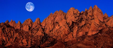 Organ Mountains