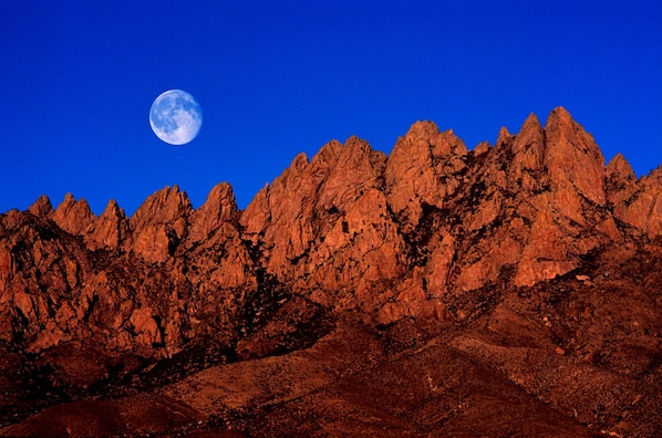 Organ Mountains