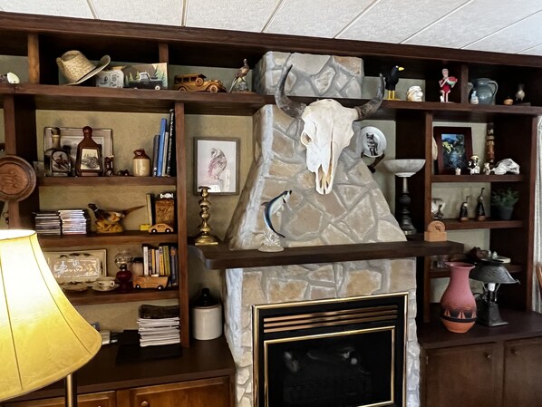 That is a buffalo head!
