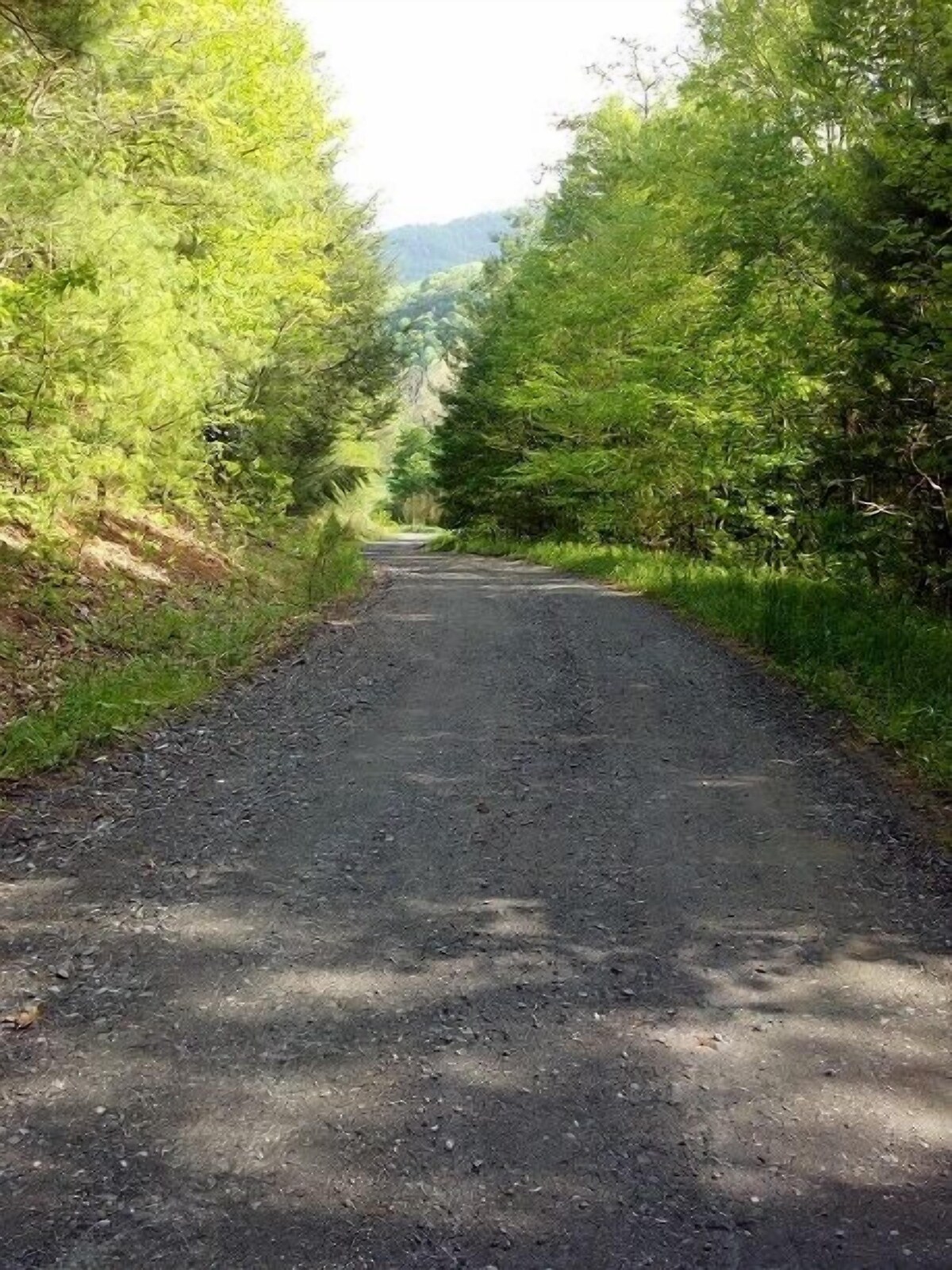 Wil-deer-ness Cabin- Secluded-Firepit-Hot Tub-River Access-WiFi-Dog Friendly