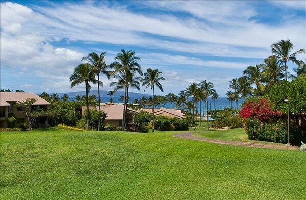 Amazing ocean view from 31B lanai. You can hear birds and watch the sunset!