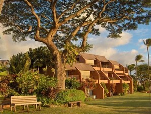 Exterior View of our Private Resort that you will be staying at.