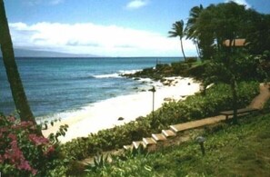 View of the Resort's Beach  (can change due to currents and tides)