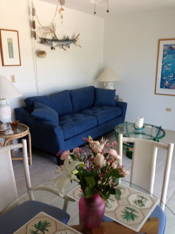 Living room
