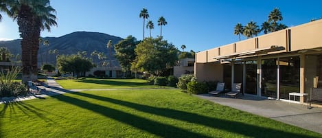 Lush lawns at edge of our patio