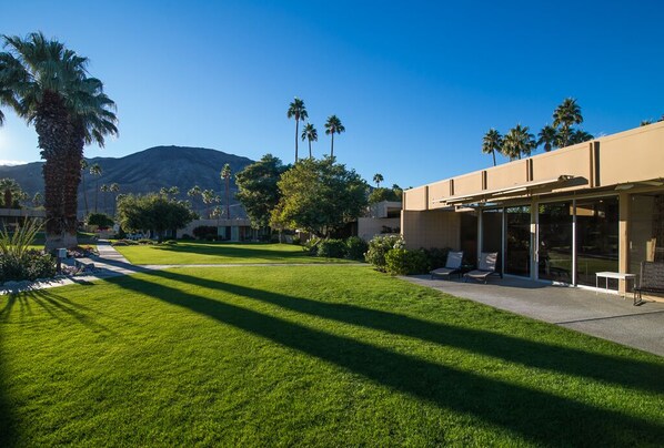 Lush lawns at edge of our patio