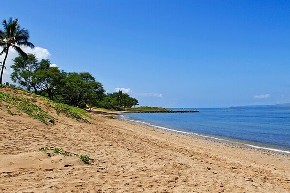 Enjoy a walk on the beach just steps from our condo's front door