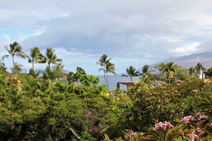 Beautiful ocean view from the lanai!