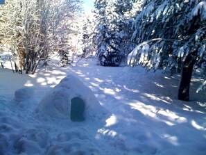 Backyard snow play