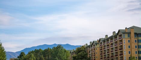 Sugarberry Suite overlooks the Gatlinburg Golf Course. 