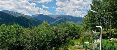 Lush mountain view from back yard with an original Aspen ski lift swing!!!