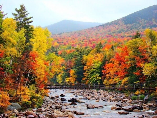 Enjoy gorgeous Fall foliage and hikes along the Pemi! Only five minutes away.