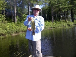 Fly Fishing For Bass Off The Dock