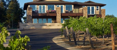 Main residence, top of the vineyard.