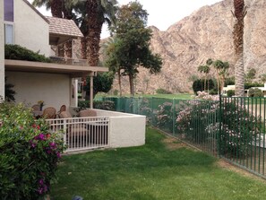 looking at patio