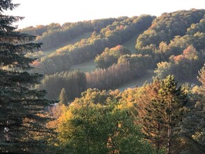 We have the BEST view of the slopes and Fall Holimont color 