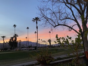 Sunset on the patio