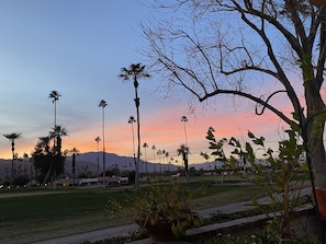 Sunset on the patio