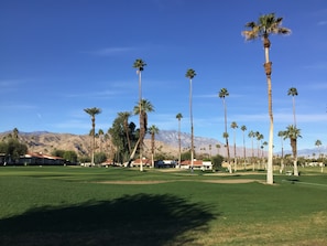 Patio view of our Omni Rancho Las Palmas golf course and mountains