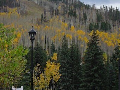  LION SQUARE LODGE at Gondola Ski In/Out 1st Floor Vail Mt View  