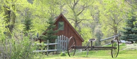 Cabin by the River in spring...