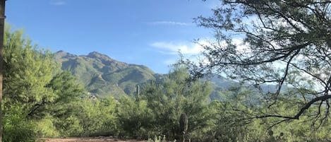 Our view of the Catalina Mountains from our patio