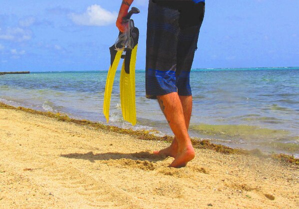 Come get your Toe's in the Sand !