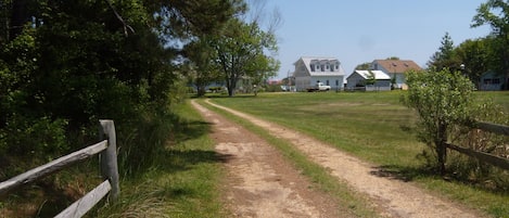 Enter the property from Piney Point Road.