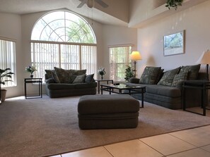 Spacious Cathedral Ceiling Living Room