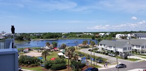 farmer's market every Saturday