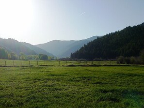 Ulkoalueet