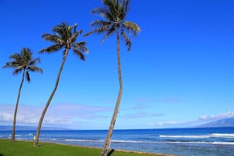 Amazing Oceanview 1-Bdrm/1-Bath Maui at Papakea Kaanapali