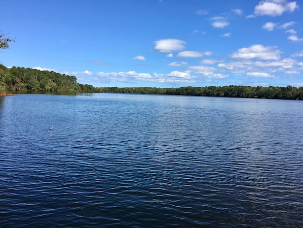 Welcome to tranquil Walkers Pond! Enjoy this view from the backyard.