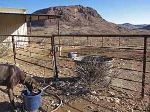 Horse Pen