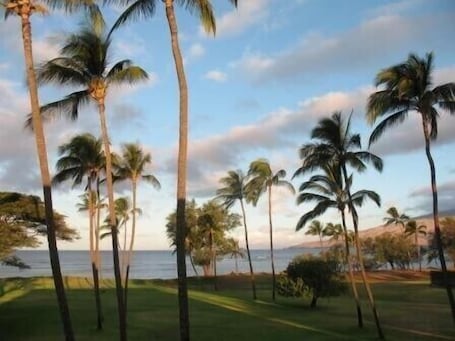 Picture perfect views