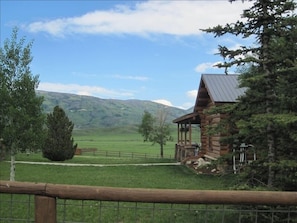 Beautiful Front Yard completely fenced and safe for your pets