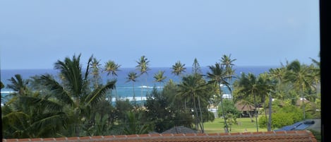 Ocean view from Lanai.  Building 8.  Quiet setting.