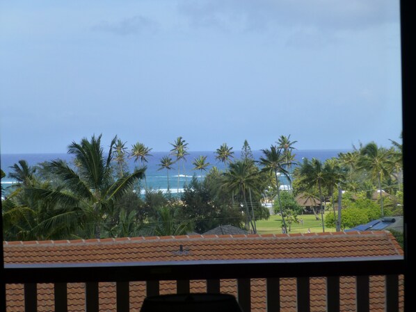 Ocean view from Lanai.  Building 8.  Quiet setting.