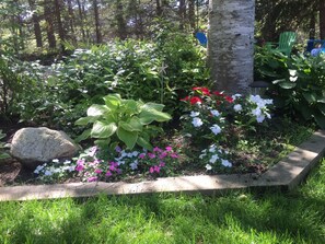 Back Garden in Bloom