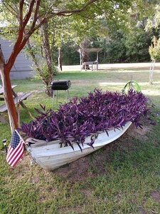 Quaint cabin on Lake Sam Rayburn, TX - Cabin 5