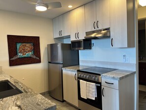 Newly remodeled galley kitchen.