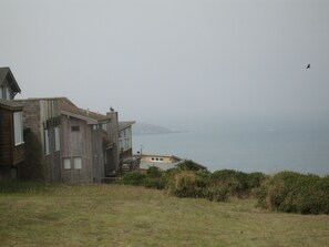 Views of Tomales Bay