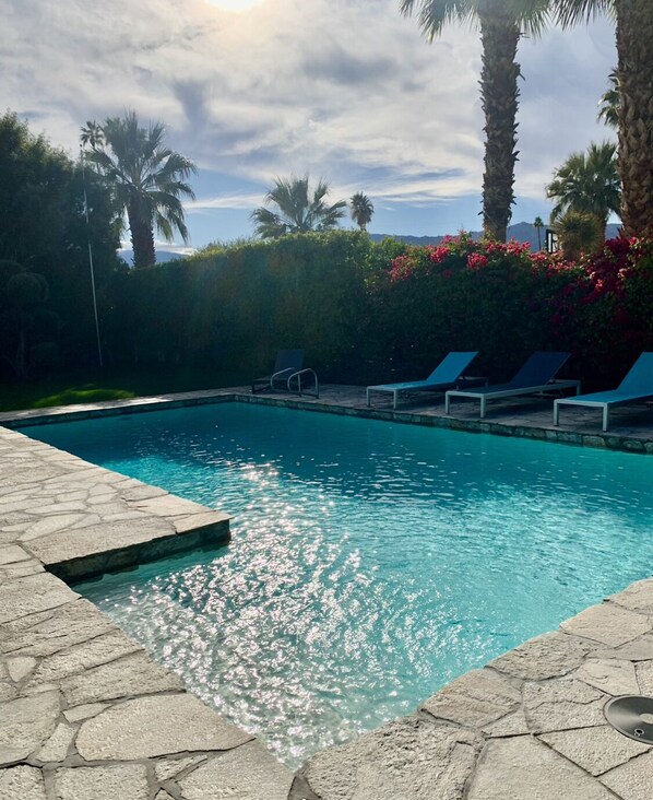 Beautiful, newly renovated salt water pool is the focal point of the backyard