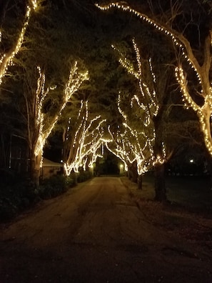 Driveway at night